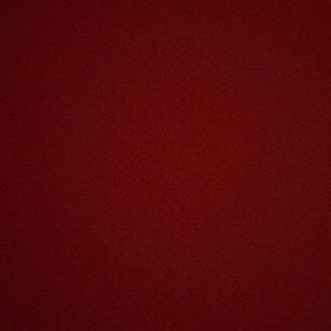 Meet your Posher, Lizzy